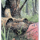 Illustration for article titled In emBeautiful Darkness/em, a fairy tale life is inextricably tied to death